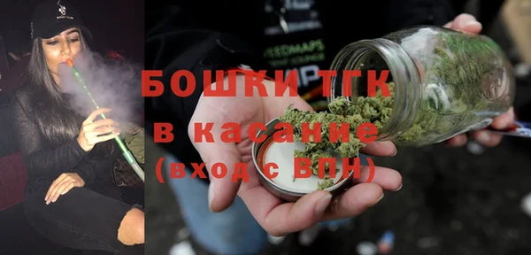 ECSTASY Богданович
