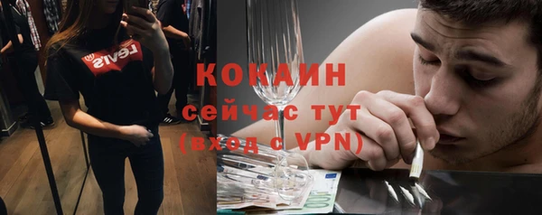 ECSTASY Богданович