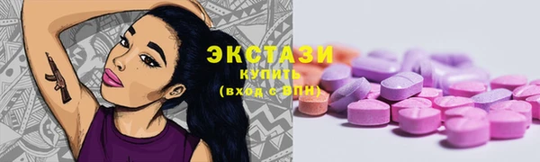 ECSTASY Богданович