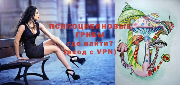круглые Богородицк