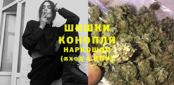 ECSTASY Богданович
