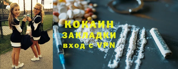 ECSTASY Богданович