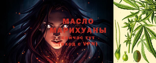 ECSTASY Богданович